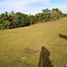  Land for sale in Bohol Central Visayas, Ubay, Bohol, Central Visayas