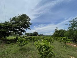  Land for sale in Nakhon Ratchasima, Mu Si, Pak Chong, Nakhon Ratchasima