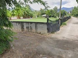  Land for sale in Ban Kat, Mae Wang, Ban Kat