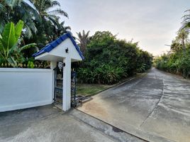  Land for sale in Ratsada, Phuket Town, Ratsada