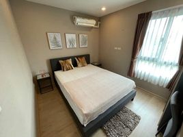 3 Schlafzimmer Haus zu vermieten im Arden Phatthanakan, Suan Luang, Suan Luang