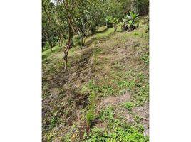  Land for sale in San Rafael, Heredia, San Rafael