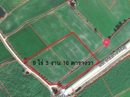  Grundstück zu verkaufen in Kao Liao, Nakhon Sawan, Kao Liao, Kao Liao, Nakhon Sawan