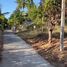  Land for sale in Ham Tien, Binh Thuan, Ham Tien, Phan Thiet, Binh Thuan