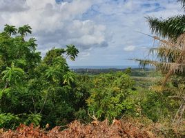  Land for sale in Mai Khao Beach, Mai Khao, Mai Khao