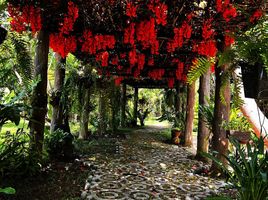 8 Schlafzimmer Haus zu vermieten im Leafy Greens , Chang Phueak