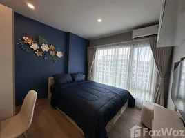 1 Bedroom Condo for rent at Phyll Phuket by Central Pattana, Wichit, Phuket Town, Phuket