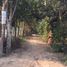  Land for sale in Siem Reap, Sngkat Sambuor, Krong Siem Reap, Siem Reap