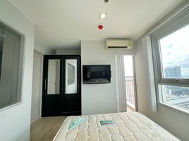 1 Schlafzimmer Wohnung zu verkaufen im Rich Park at Chaophraya, Sai Ma, Mueang Nonthaburi, Nonthaburi