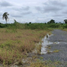  Land for sale in Cambodia, Banteay Neang, Mongkol Borei, Banteay Meanchey, Cambodia