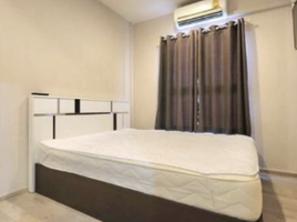 1 Schlafzimmer Wohnung zu verkaufen im Plum Condo Samakkhi, Tha Sai, Mueang Nonthaburi