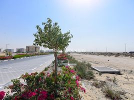  Land for sale at Jebel Ali Hills, 