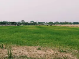 在素攀武里出售的 土地, Hua Khao, Doem Bang Nang Buat, 素攀武里