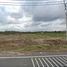  Land for sale in Lam Phlai, Songkhla, Lam Phlai, Thepha
