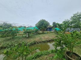  Land for sale in Khlong Luang, Pathum Thani, Khlong Ha, Khlong Luang