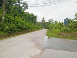  Land for sale in Phuket, Chalong, Phuket Town, Phuket