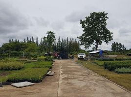  Grundstück zu verkaufen in San Sai, Chiang Mai, Pa Phai