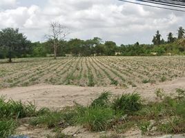  Land for sale in Huai Pong, Mueang Rayong, Huai Pong