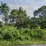  Land for sale in Chumphon, Na Kratam, Tha Sae, Chumphon