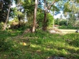  Land for sale in Thong Krut Beach, Taling Ngam, Taling Ngam