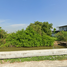  Grundstück zu verkaufen in Mueang Pathum Thani, Pathum Thani, Bang Khu Wat, Mueang Pathum Thani, Pathum Thani