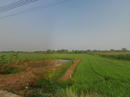  Land for sale in AsiaVillas, Thawi Watthana, Sai Noi, Nonthaburi, Thailand