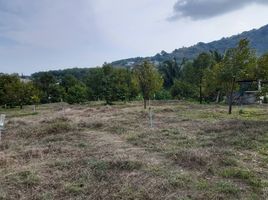  Land for sale in Rawai, Phuket Town, Rawai