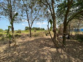  Land for sale in Bueng Bon, Nong Suea, Bueng Bon