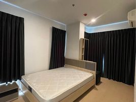 2 Schlafzimmer Appartement zu vermieten im The Tree Sukhumvit 71-Ekamai, Suan Luang