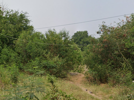  Land for sale in Nong Pling, Mueang Nakhon Sawan, Nong Pling