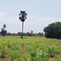  Land for sale in Chai Nat, Noen Kham, Noen Kham, Chai Nat