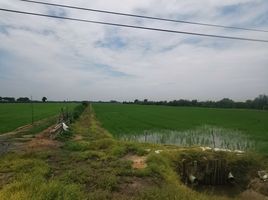  Grundstück zu verkaufen in Bang Nam Priao, Chachoengsao, Sala Daeng, Bang Nam Priao, Chachoengsao