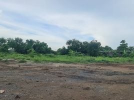  Land for sale in Kamang, Phra Nakhon Si Ayutthaya, Kamang