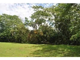  Grundstück zu verkaufen in Osa, Puntarenas, Osa, Puntarenas