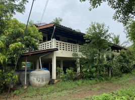 3 Bedroom House for sale in Lamphun, Makok, Pa Sang, Lamphun