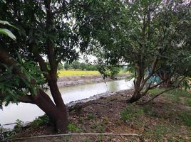  Land for sale in Bang Khu Rat, Bang Bua Thong, Bang Khu Rat