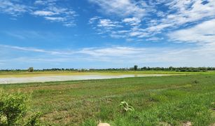 N/A Land for sale in Na Yang, Phetchaburi 