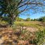  Land for sale in Nong Khon Kwang, Udon Thani, Nong Khon Kwang