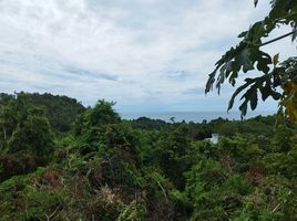  Grundstück zu verkaufen im Emerald Bay View, Maret, Koh Samui