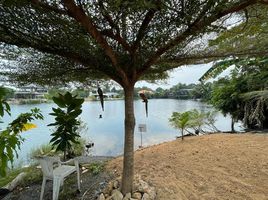 2 Schlafzimmer Haus zu verkaufen in Koh Samui, Surat Thani, Bo Phut, Koh Samui, Surat Thani