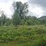  Land for sale in Phuket, Mai Khao, Thalang, Phuket