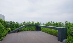Photos 3 of the สวนหย่อม at Nue Noble Srinakarin - Lasalle