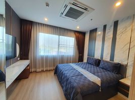 2 Schlafzimmer Appartement zu verkaufen im Touch Hill Place Elegant, Chang Phueak, Mueang Chiang Mai, Chiang Mai, Thailand