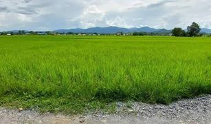 N/A Land for sale in Thuem Tong, Nan 