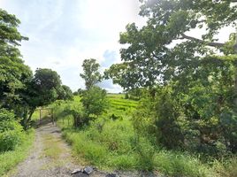  Land for sale in Ban Mi, Lop Buri, Phon Thong, Ban Mi