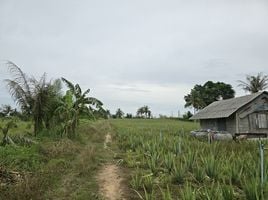  Grundstück zu verkaufen in Hua Hin, Prachuap Khiri Khan, Thap Tai