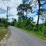  Land for sale in Choeng Thale, Thalang, Choeng Thale