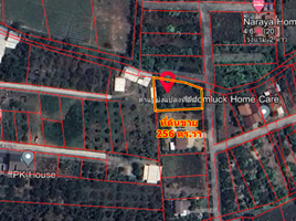  Land for sale in San Klang, San Pa Tong, San Klang