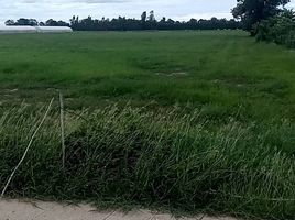  Grundstück zu verkaufen in Nong Ya Sai, Suphan Buri, Nong Ya Sai, Nong Ya Sai