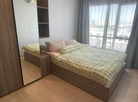 1 Schlafzimmer Wohnung zu vermieten im The Origin Sukhumvit 105, Bang Na, Bang Na